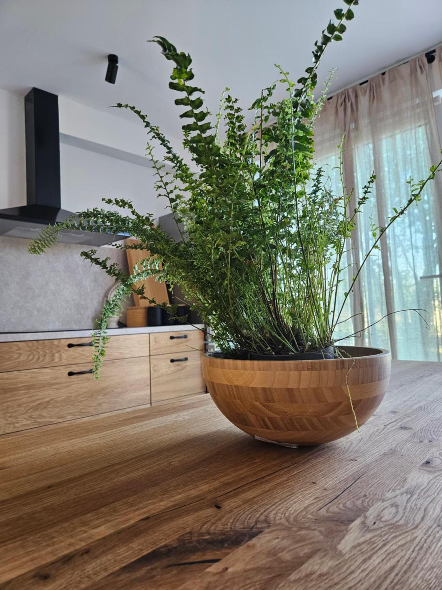 Stancija Lottegaly - Green Holiday Vodnjan Ngoại thất bức ảnh